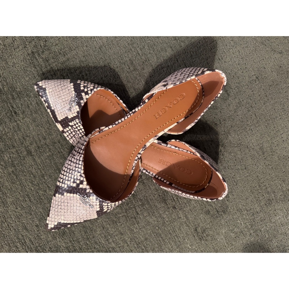 Coach Snake-Print Pointed Toe Flats in Neutral (Beige, Black, Cream)
